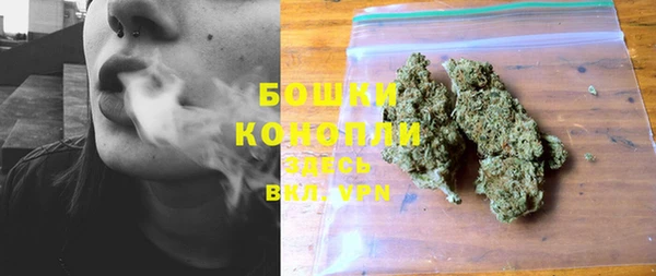 круглые Бородино