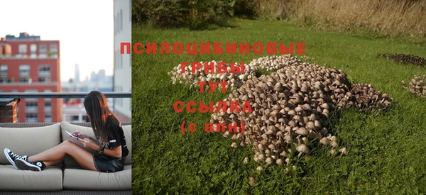 круглые Бородино
