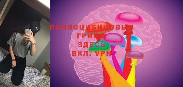 гашик Бронницы