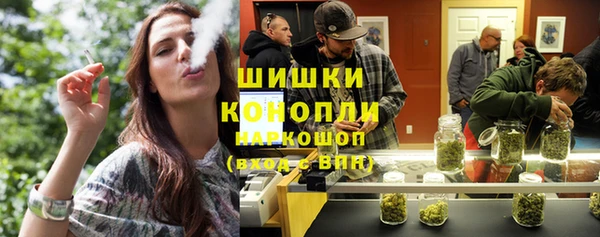 гашик Бронницы